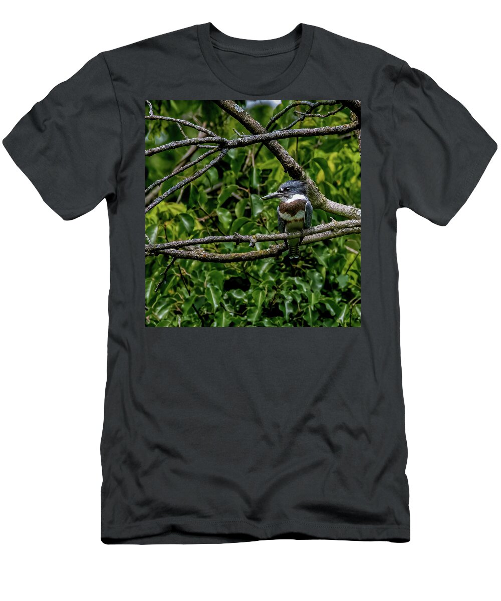 Animal T-Shirt featuring the photograph Resting Kingfisher by Brian Shoemaker