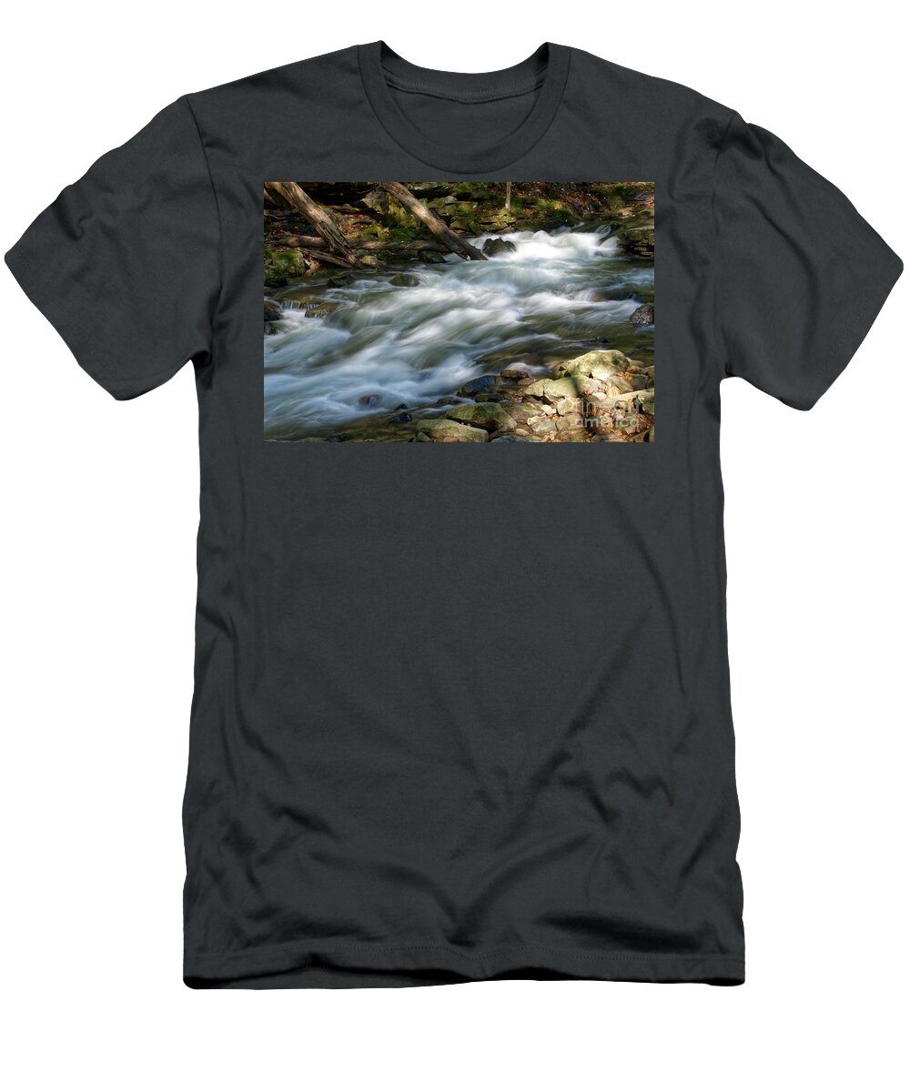 Cumberland Plateau T-Shirt featuring the photograph Richland Creek 21 by Phil Perkins