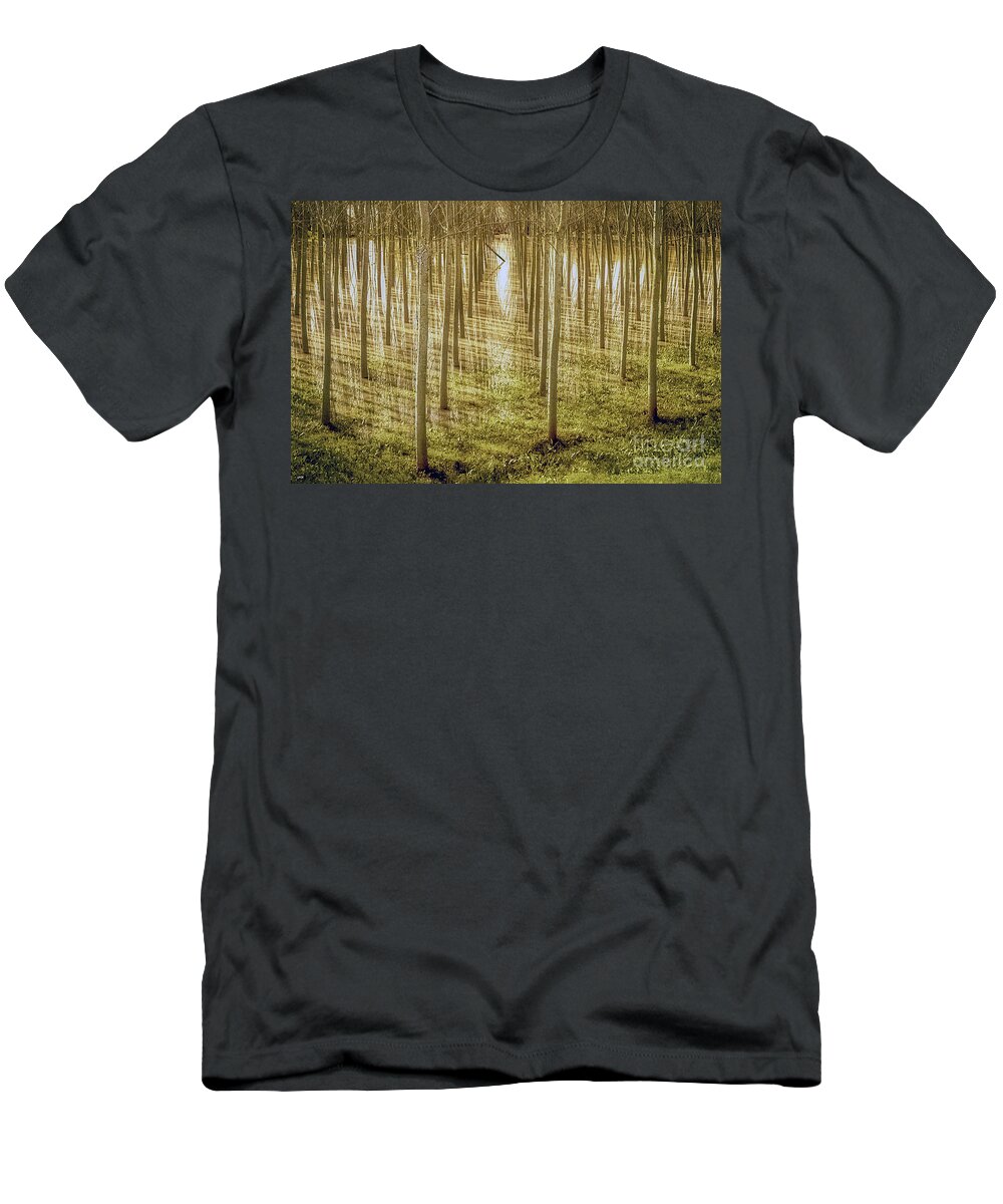 Growth T-Shirt featuring the photograph Reflections by Loredana Gallo Migliorini