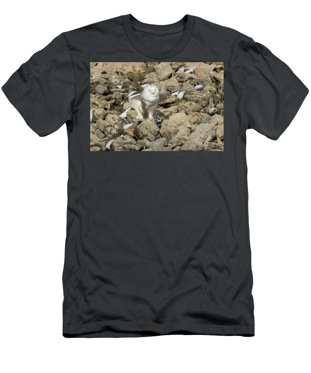 Animal T-Shirt featuring the photograph Right Leg Stretch Snowy Owl by Jack R Perry
