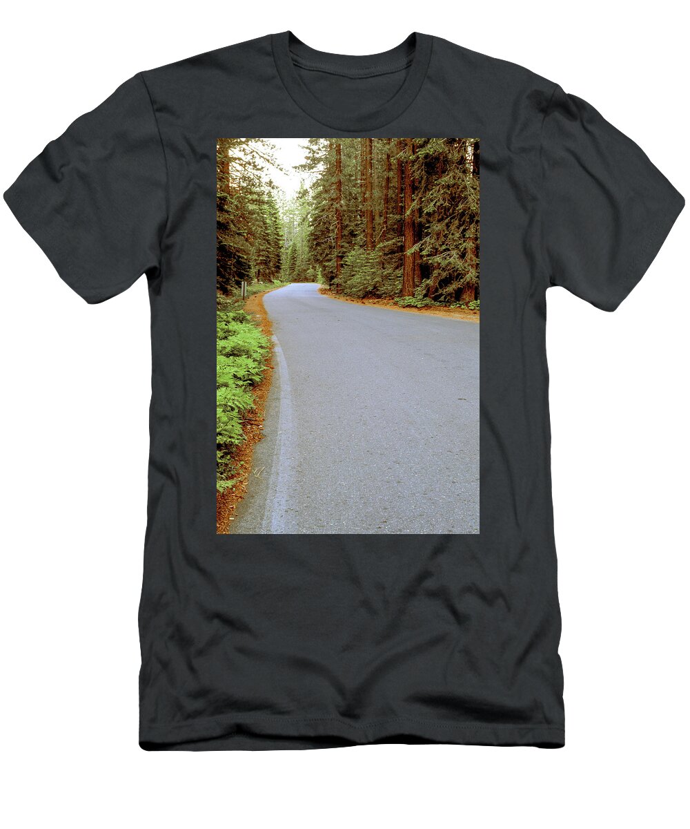 Forest T-Shirt featuring the photograph Road Through the Forest by Randy Bradley
