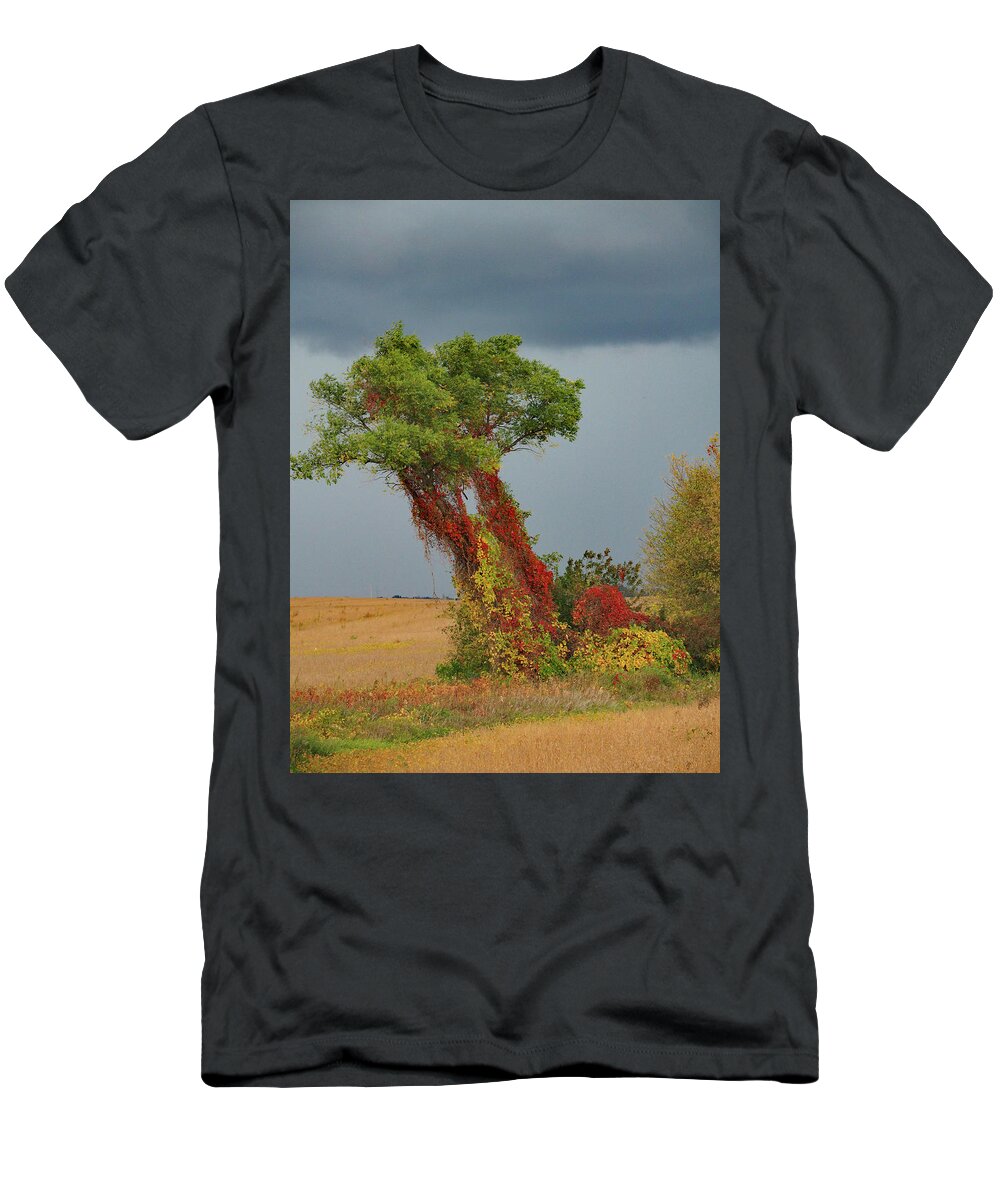Windblown Red Vines T-Shirt featuring the photograph Roadside Attraction by James Peterson