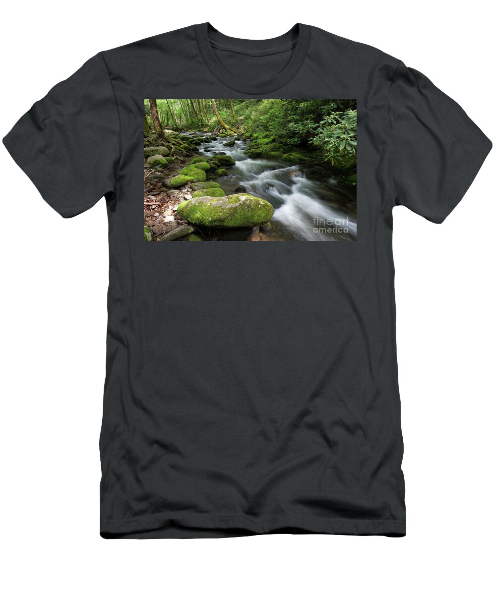 Smokies T-Shirt featuring the photograph Roadside Waterway by Phil Perkins