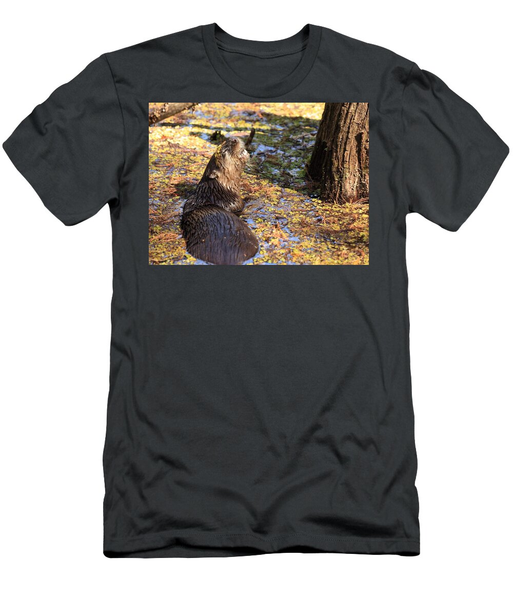 Otter T-Shirt featuring the photograph Roaring Otter by Mingming Jiang