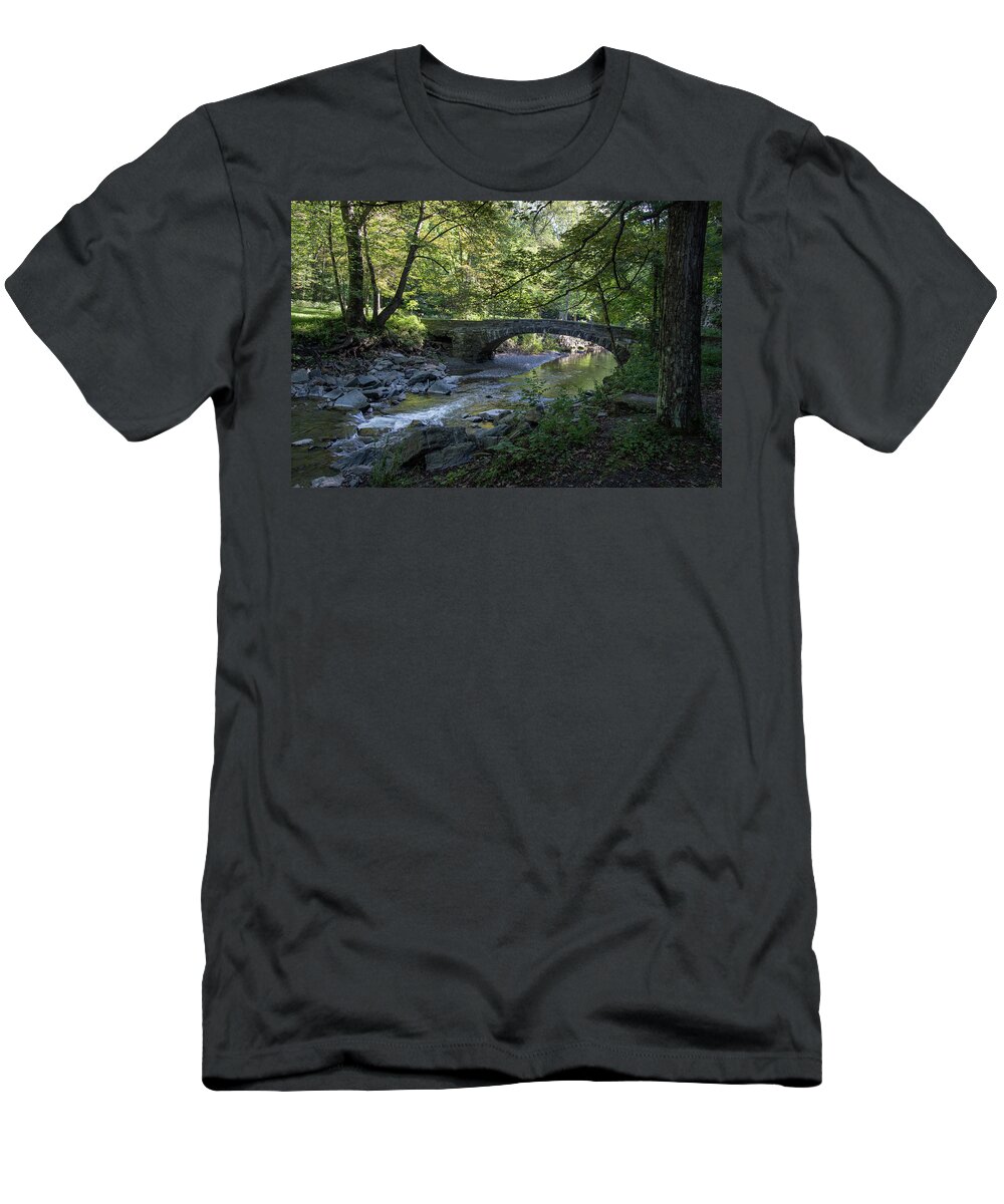Robert H. Treman State Park T-Shirt featuring the photograph Robert H. Treman State Park 3 by Dimitry Papkov