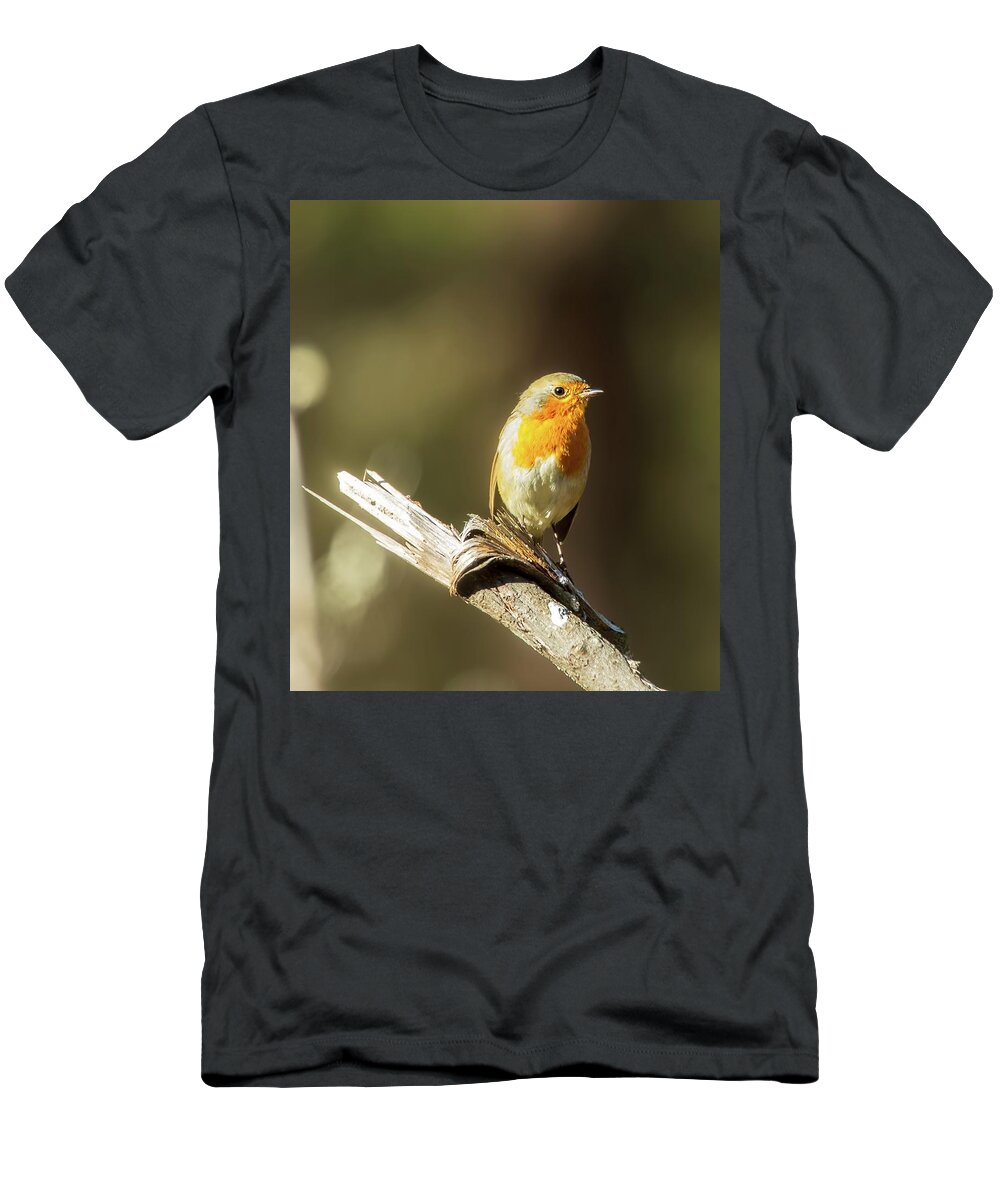 Robin Touched By The Light T-Shirt featuring the photograph Robin touched by the light by Rose-Marie Karlsen
