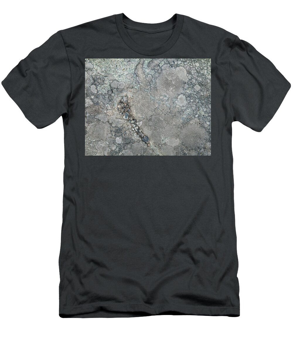 Lichen T-Shirt featuring the photograph Rock Lichen by Theresa Tahara