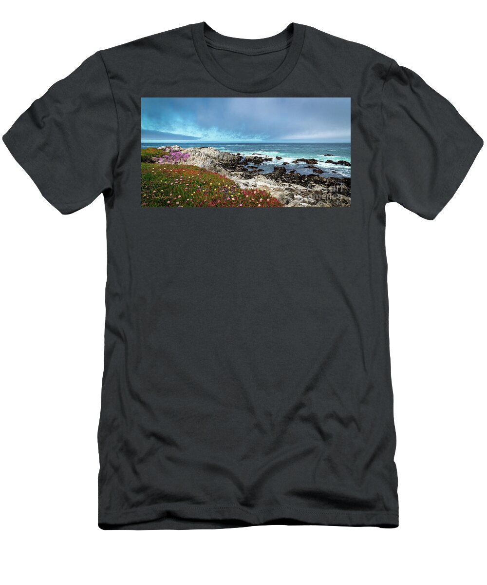 Beach T-Shirt featuring the photograph Rocky Promontory by David Levin