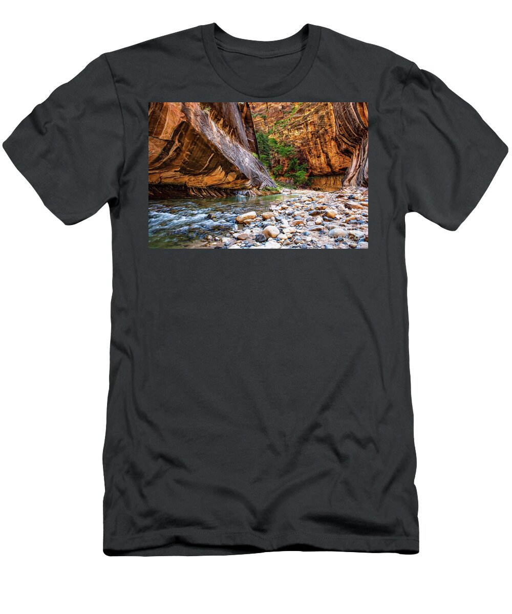 Narrows T-Shirt featuring the photograph Rocky Road by Larry Young