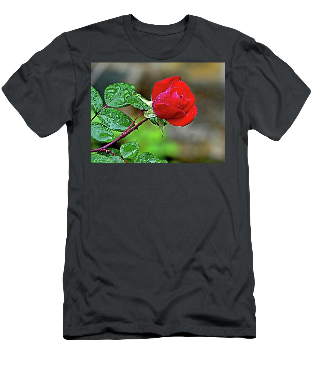 Rose T-Shirt featuring the photograph Romantic Red Rose by Lyuba Filatova