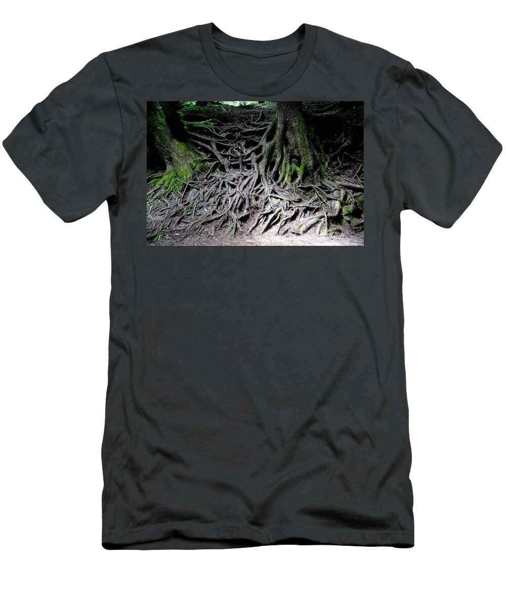 Roots T-Shirt featuring the photograph Roots by Rich S