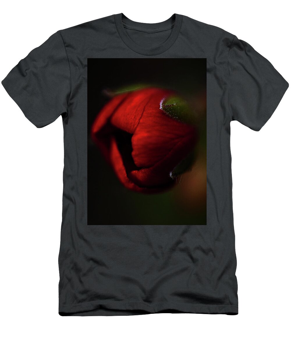Rosebud T-Shirt featuring the photograph Rosebud by Al Fio Bonina