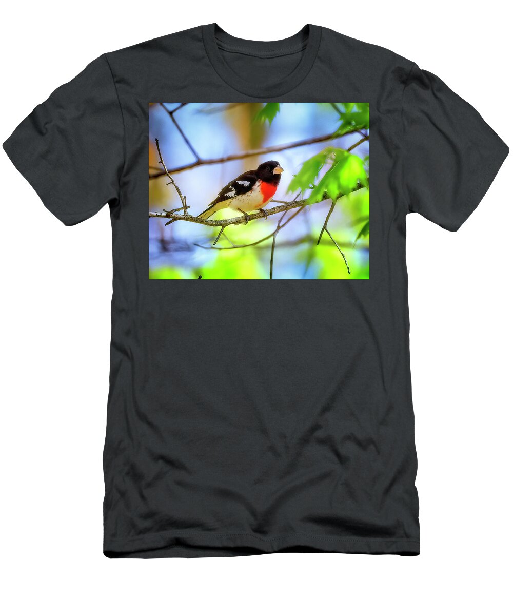 Birds T-Shirt featuring the photograph Rose-breasted Grosbeak by Al Mueller