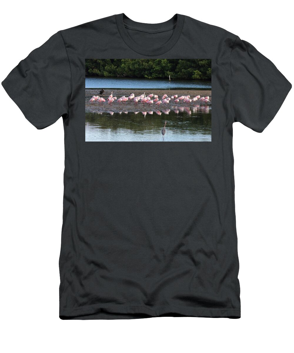 Roseate Spoonbill T-Shirt featuring the photograph Roseate Spoonbills Gather Together 7 by Mingming Jiang