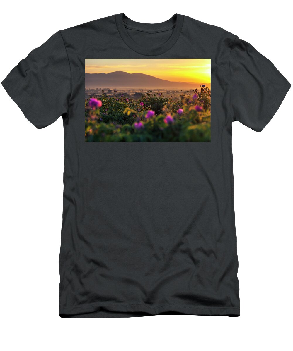 Bulgaria T-Shirt featuring the photograph Roses Valley by Evgeni Dinev
