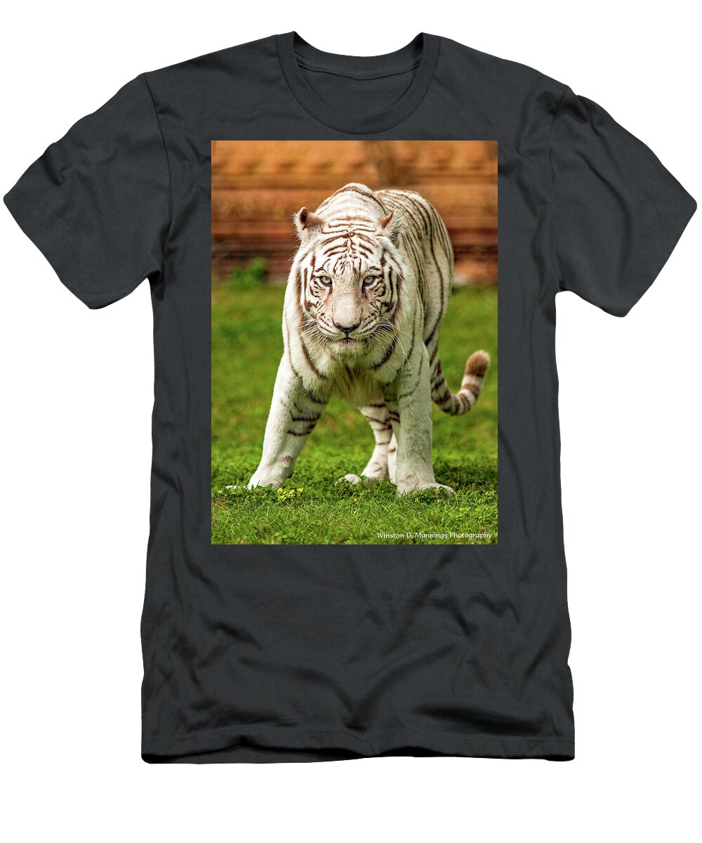 Royal Bengal Tiger T-Shirt featuring the photograph Royal Bengal Tiger by Winston D Munnings