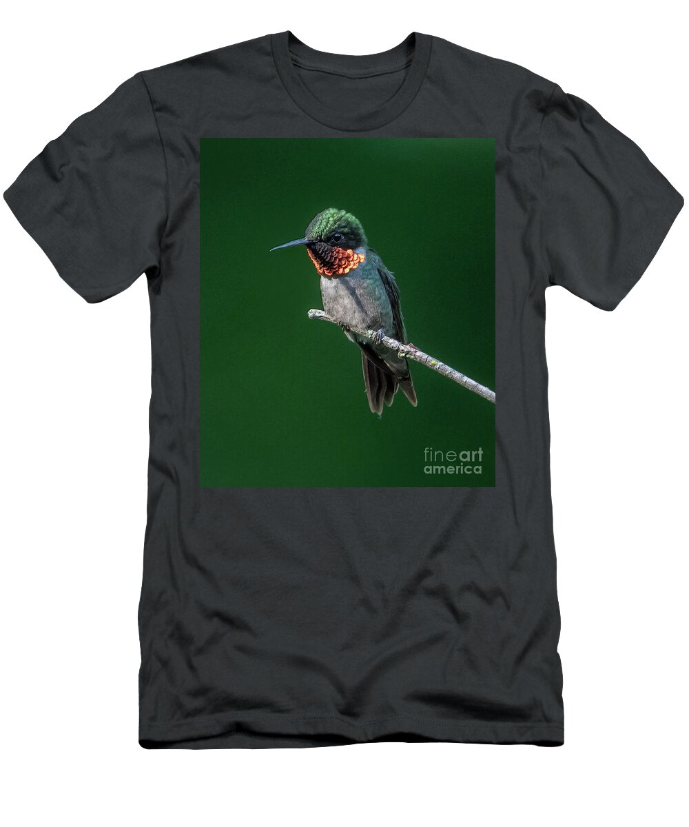 Ruby Throated Hummingbird T-Shirt featuring the photograph Ruby Throated Hummingbird-1 by Sandra Rust