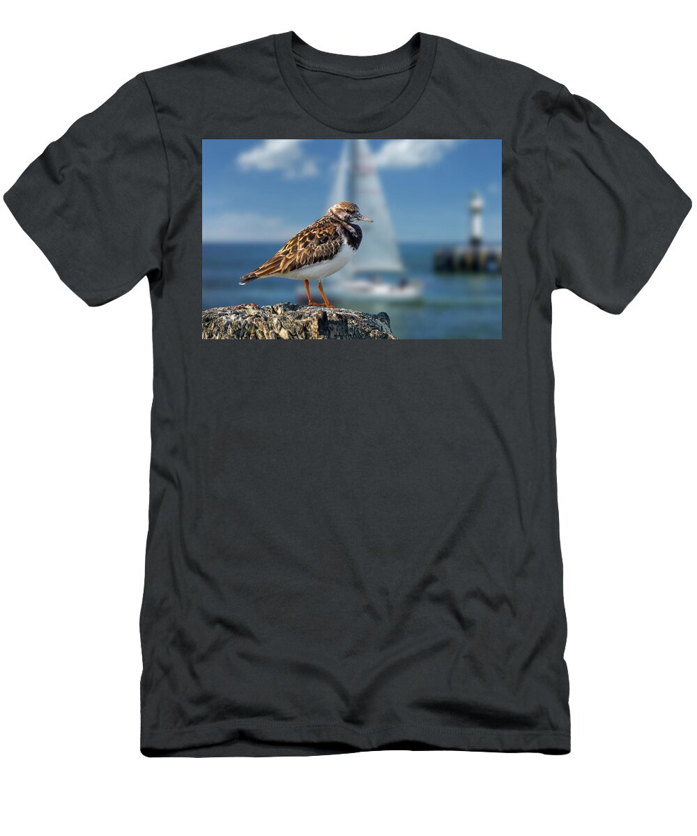 Ruddy Turnstone T-Shirt featuring the photograph Ruddy Turnstone in Harbour by Arterra Picture Library