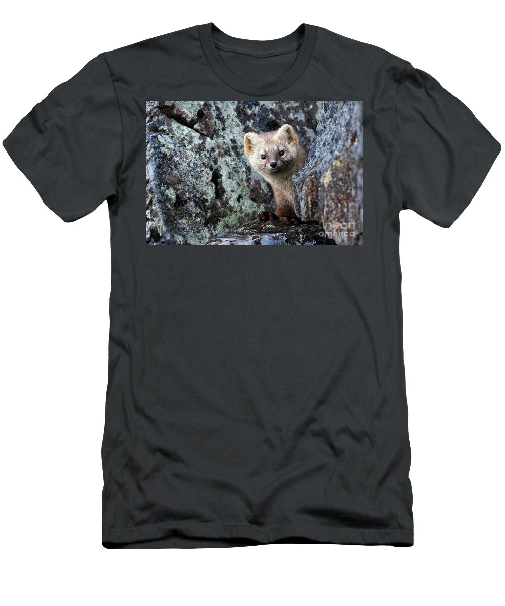 00782188 T-Shirt featuring the photograph Sable Portrait Kamchatka by Sergey Gorshkov
