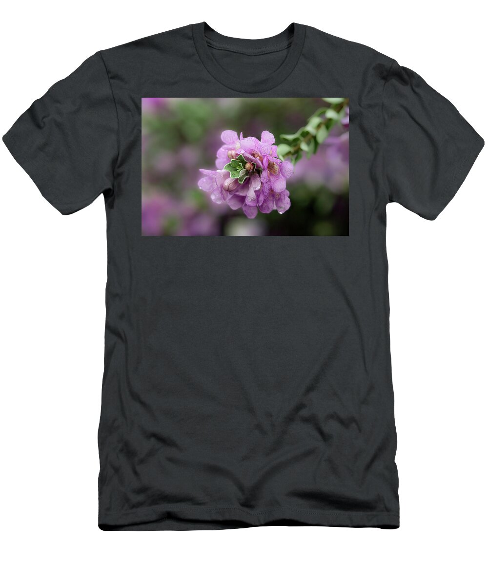 Texas Sage T-Shirt featuring the photograph Sage in Bloom by Cheri Freeman