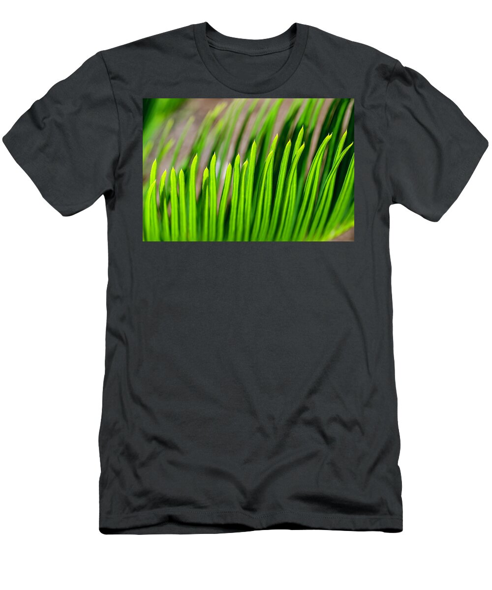 Sago Palm T-Shirt featuring the photograph Sago Palm by WAZgriffin Digital