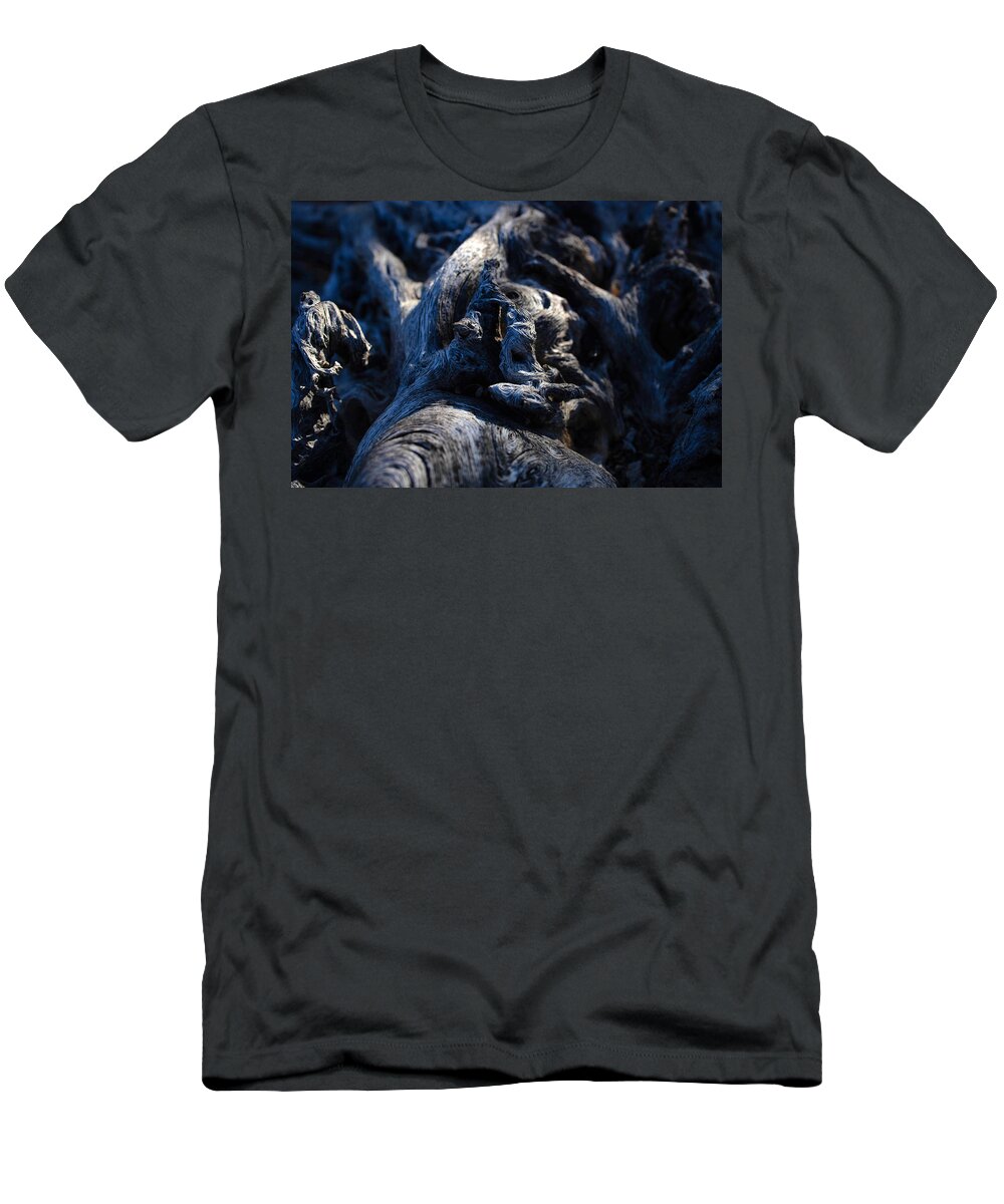 Saguaro T-Shirt featuring the photograph Inner Earth Travelers by Kati Astraeir