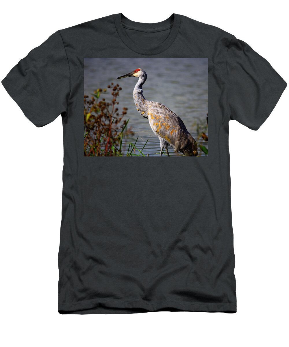 Sand Hill Crane T-Shirt featuring the photograph Sand Hill Crane by Mary Walchuck