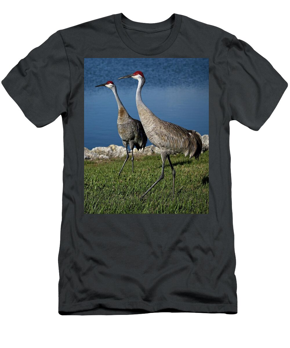 Nature T-Shirt featuring the photograph Sandhill Crane breeding pair by Ronald Lutz