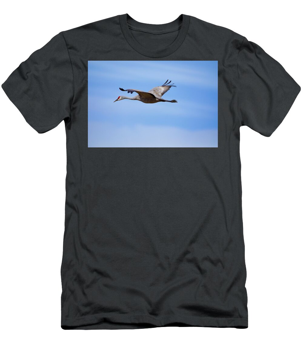 Sandhill Crane Flying By T-Shirt featuring the photograph Sandhill Crane flying by by Lynn Hopwood