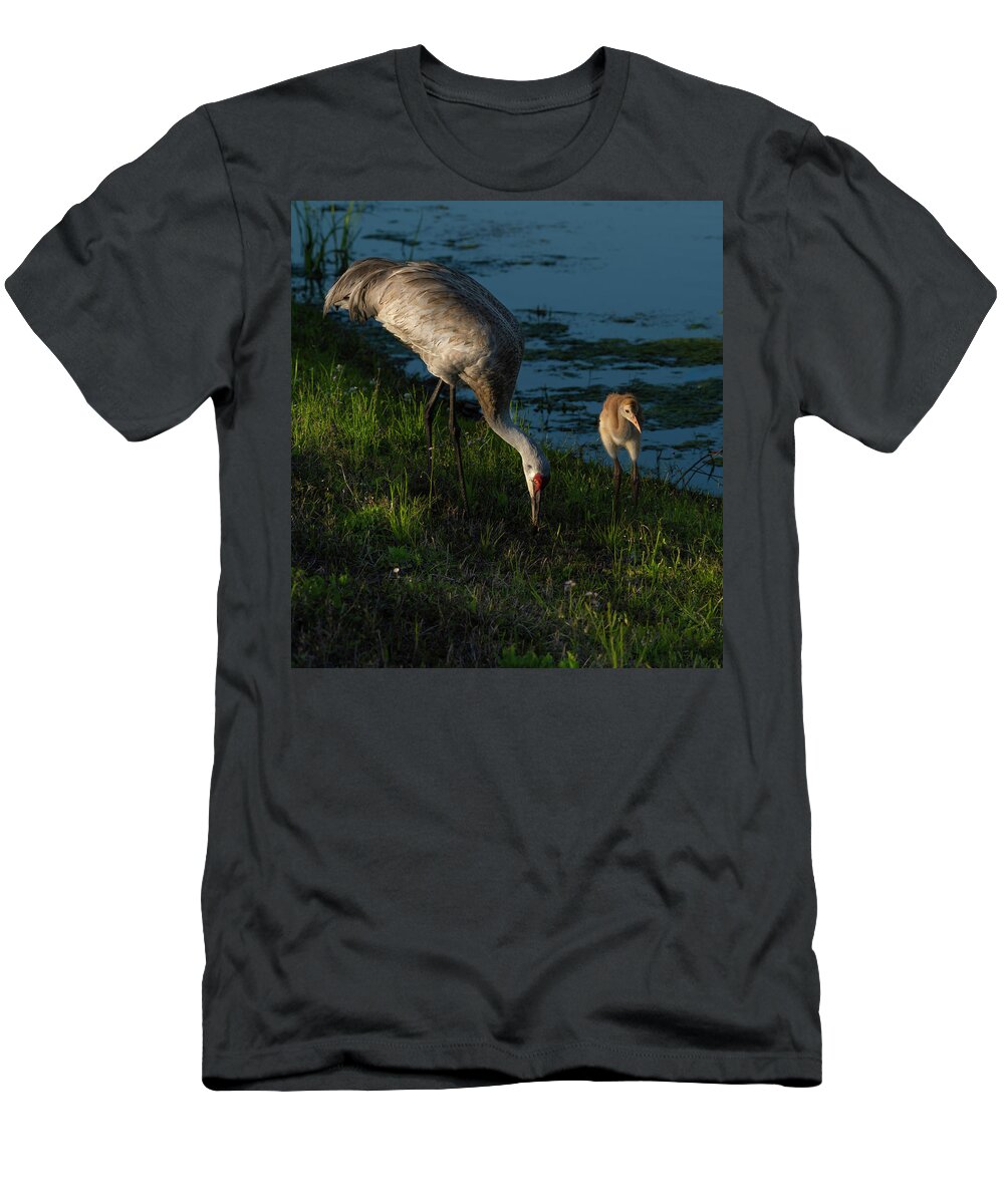 Birds T-Shirt featuring the photograph Sandhill Crane by Larry Marshall