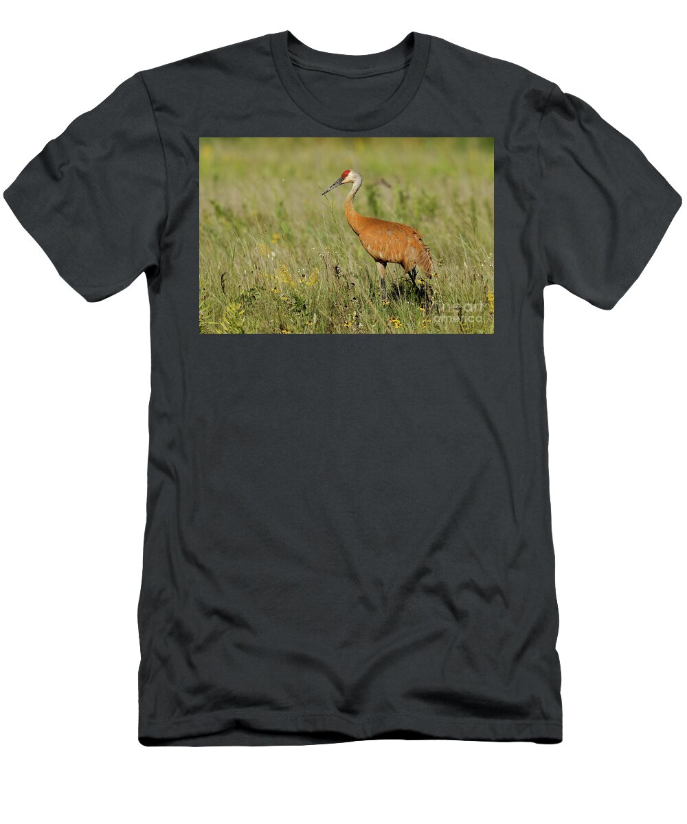 Sandhill Crane T-Shirt featuring the photograph Sandhill Crane Morning by Natural Focal Point Photography