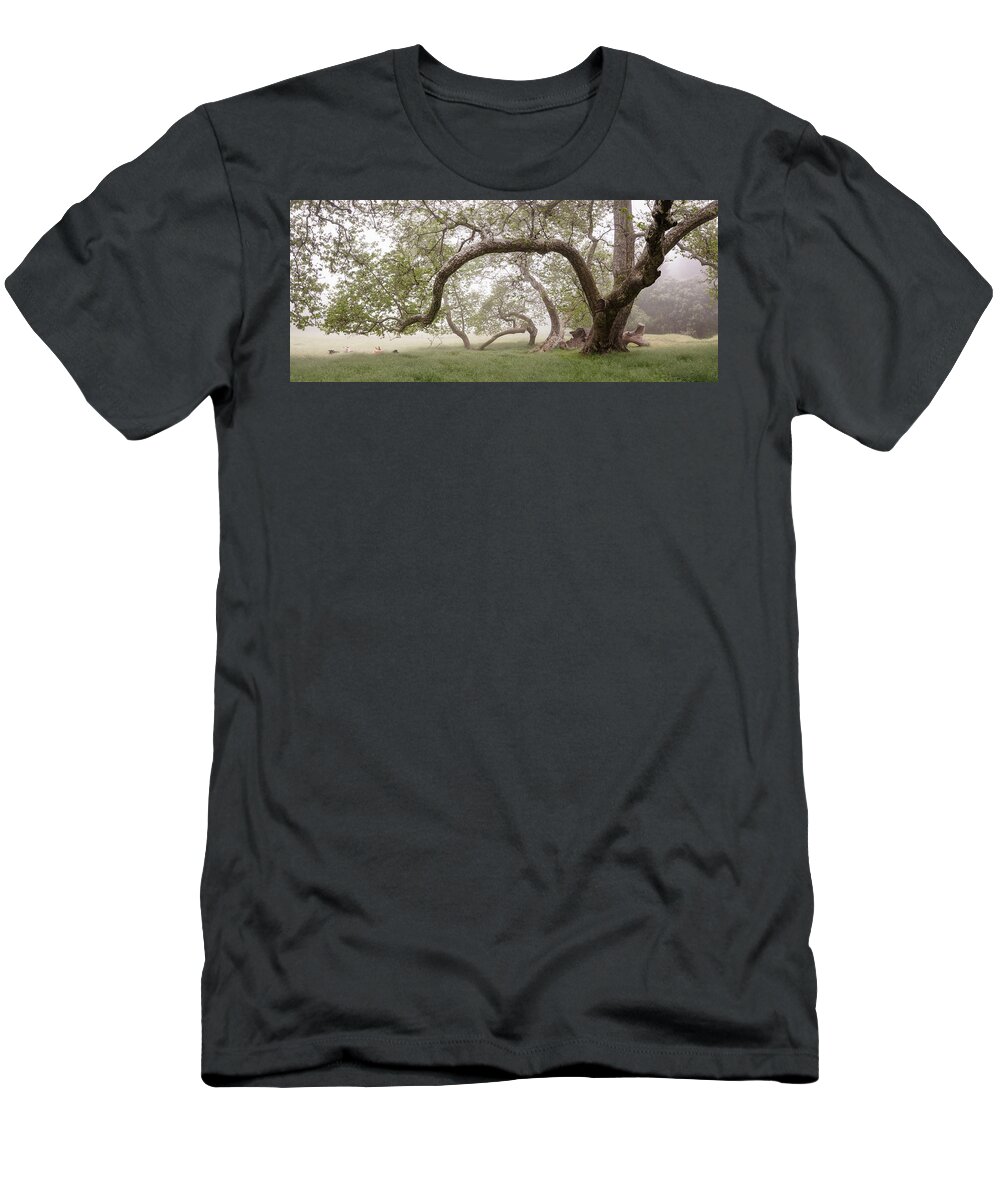 San Diego T-Shirt featuring the photograph Santa Ysabel East Sycamore Trees by William Dunigan