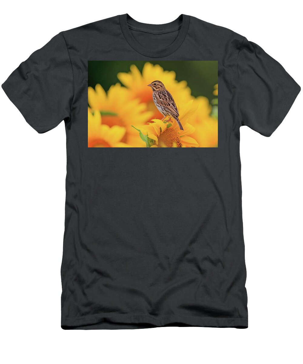 Savanna Sparrow T-Shirt featuring the photograph Savanna Sparrow in a Sunflower Field by Shixing Wen