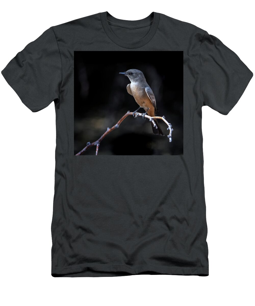 Small Bird T-Shirt featuring the photograph Say's Phoebe 6162-102020-2 by Tam Ryan