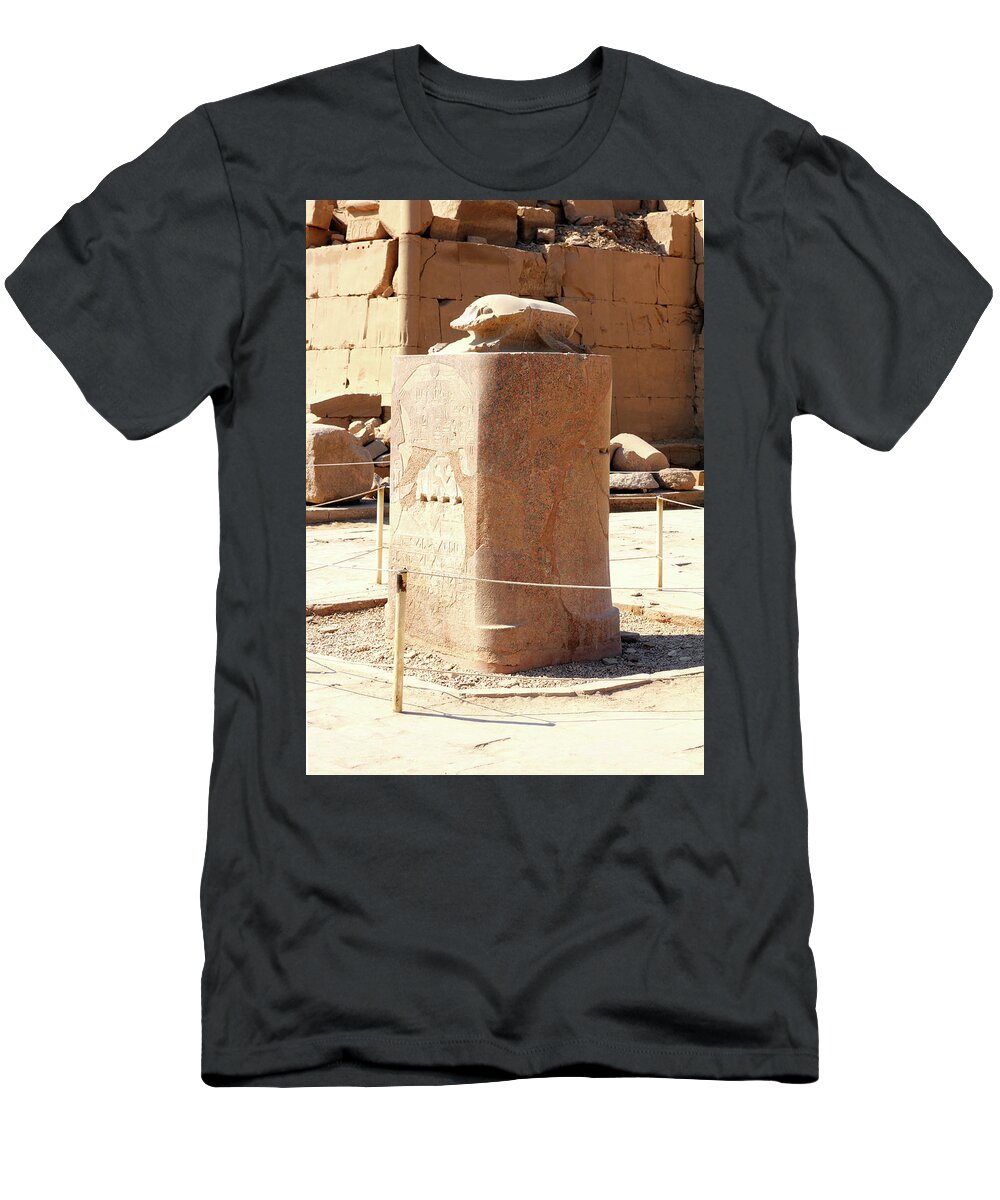 Scarab T-Shirt featuring the photograph Scarabaeus Monument In Karnak Temple by Mikhail Kokhanchikov