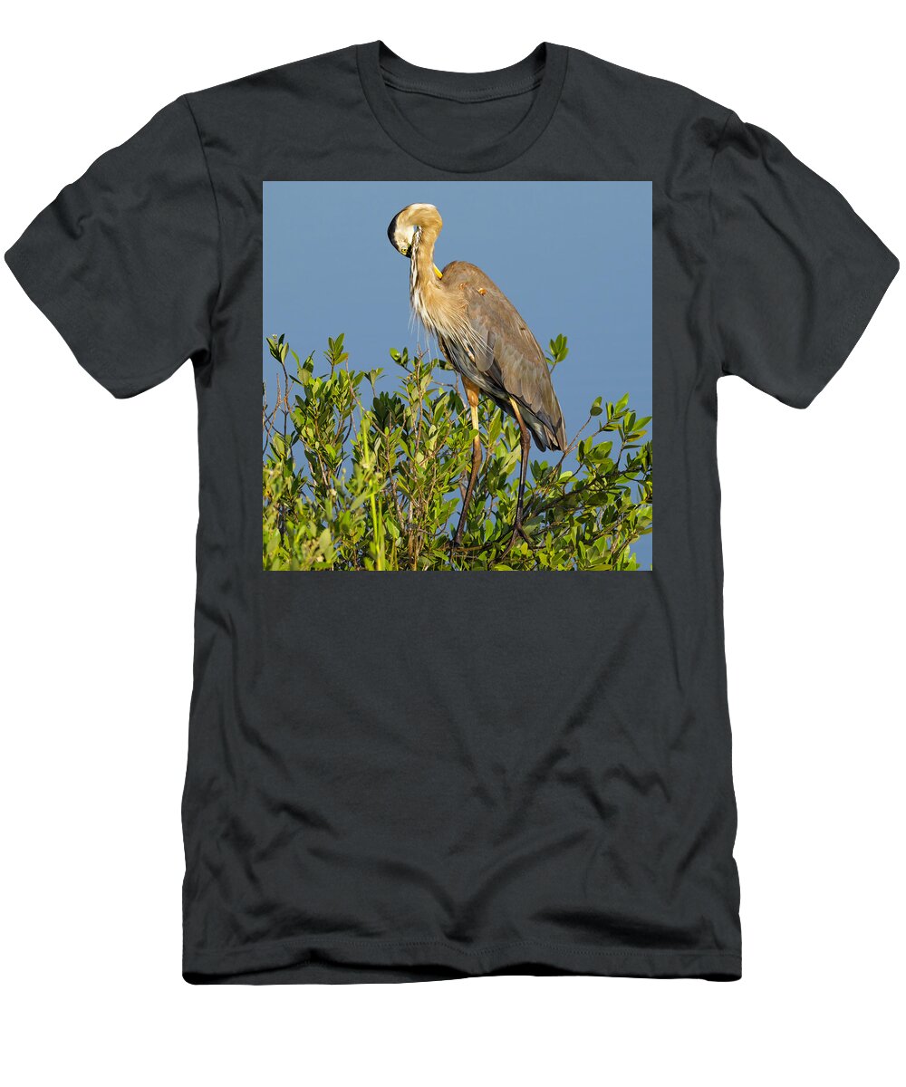 R5-2652 T-Shirt featuring the photograph Scratch that Itch by Gordon Elwell