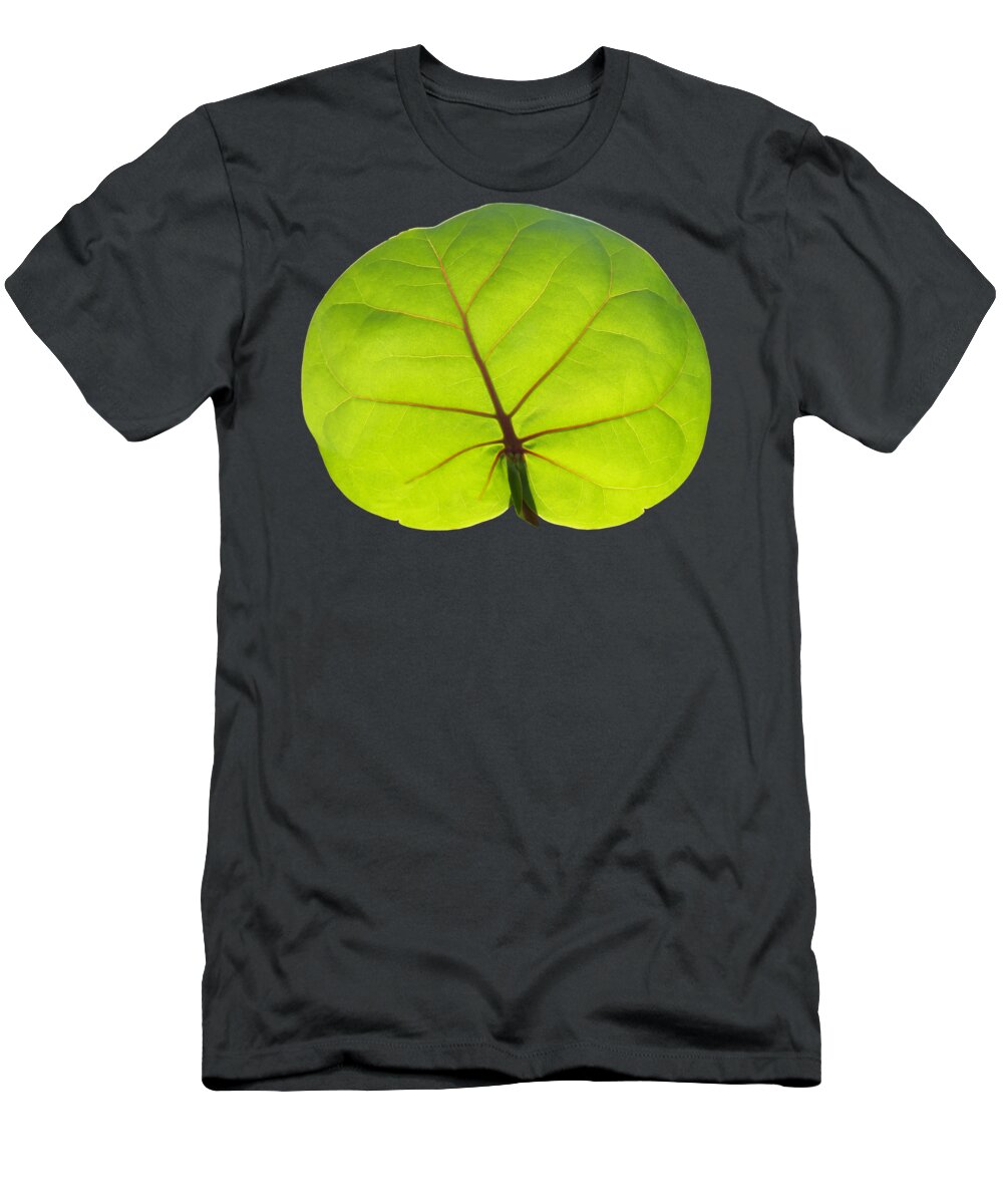 Duane Mcccullough T-Shirt featuring the photograph Seagrape Leaf Clear by Duane McCullough
