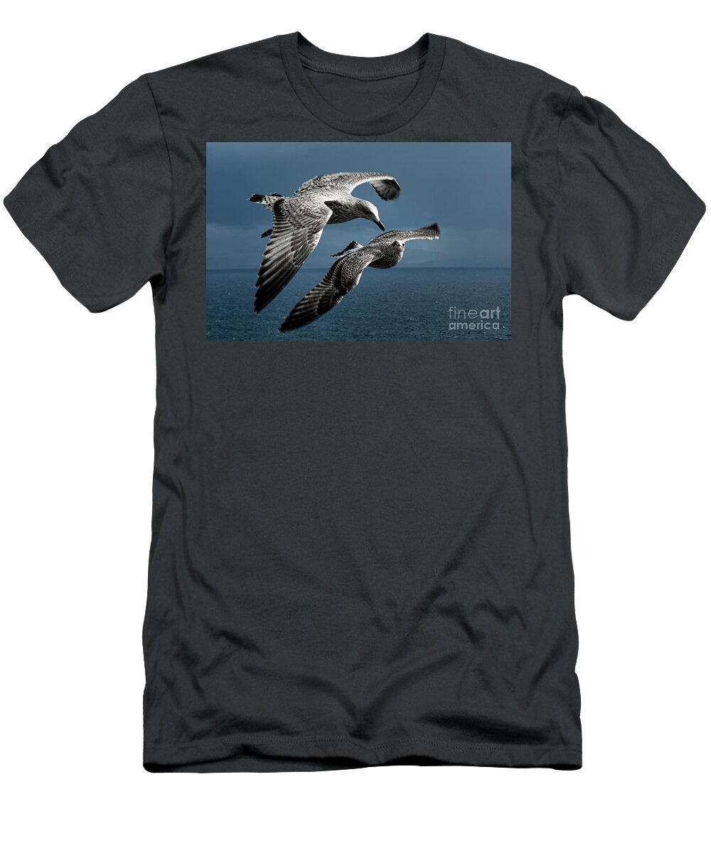 Bird T-Shirt featuring the photograph Seagulls Flying Formation by Andreas Berthold