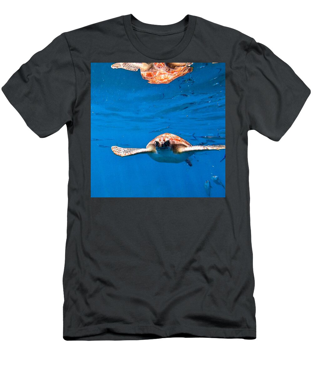 Turtle T-Shirt featuring the photograph Searching for Nemo by Devin Wilson