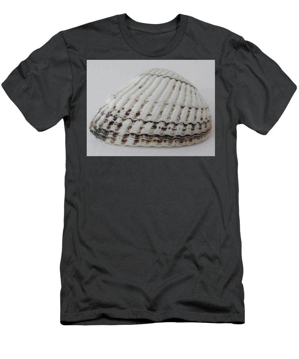 Seashell T-Shirt featuring the photograph Seashell by Julia Wilcox