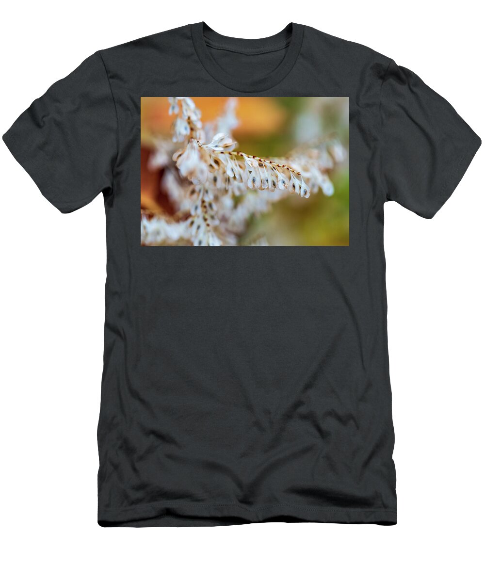 Nature T-Shirt featuring the photograph Seed Pods by Amelia Pearn