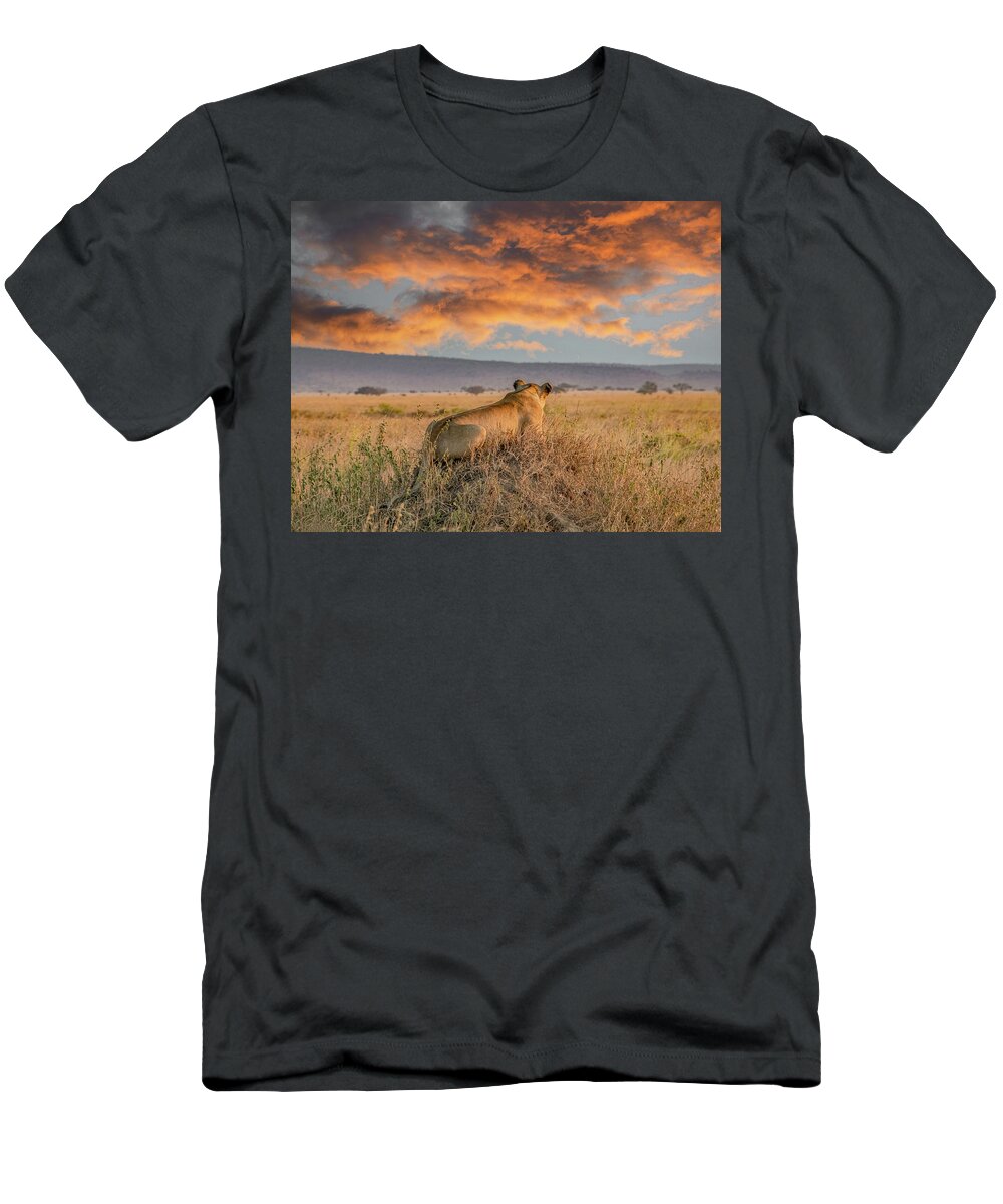 Tanzania T-Shirt featuring the photograph Serengeti Lion Enjoys Sunset by Marcy Wielfaert