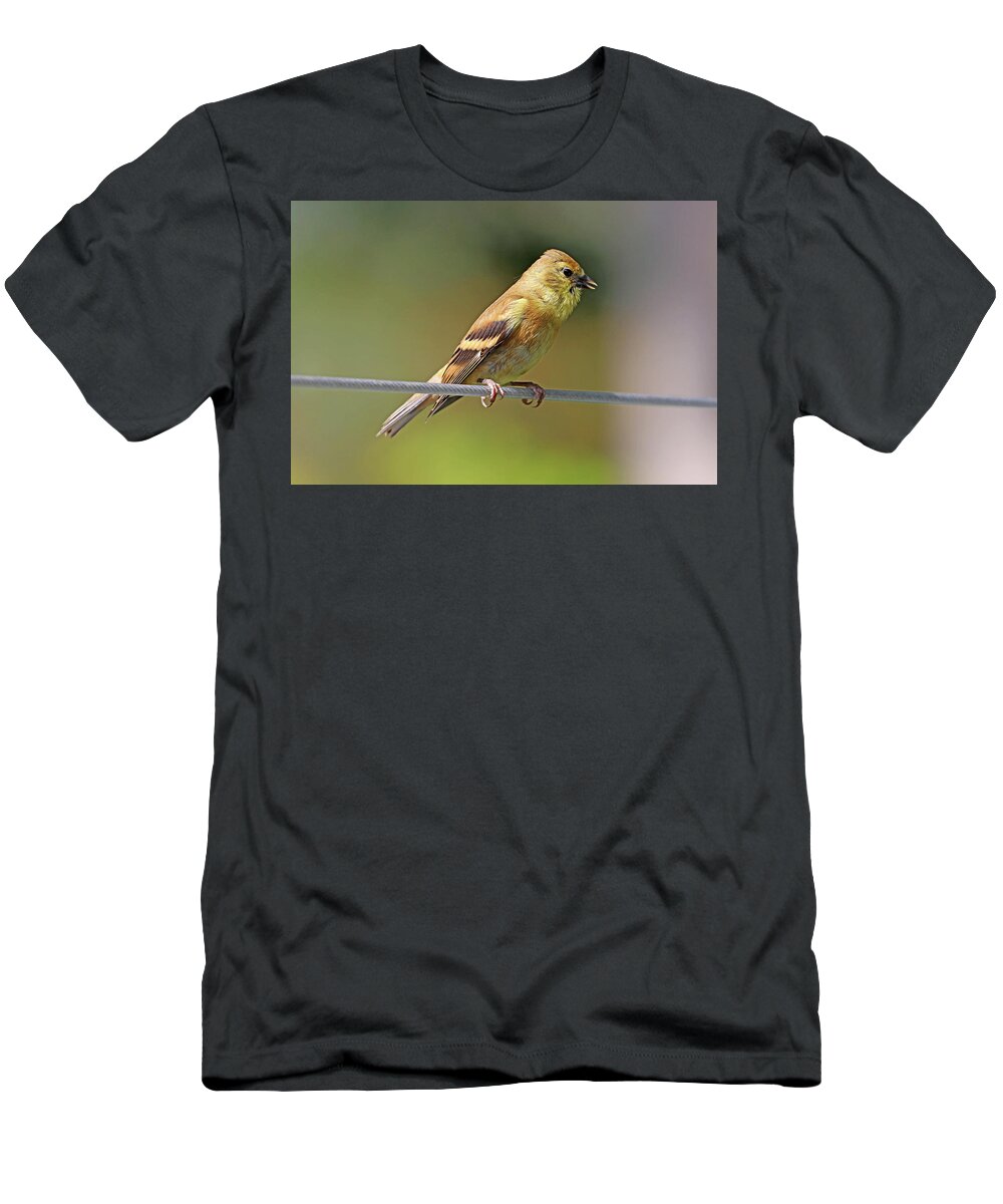 Goldfinch T-Shirt featuring the photograph Serious Conversation by Debbie Oppermann