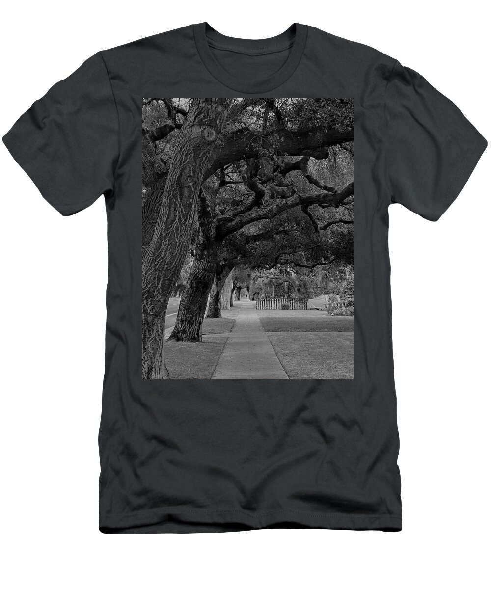 Tree T-Shirt featuring the photograph Shade If Needed by Calvin Boyer