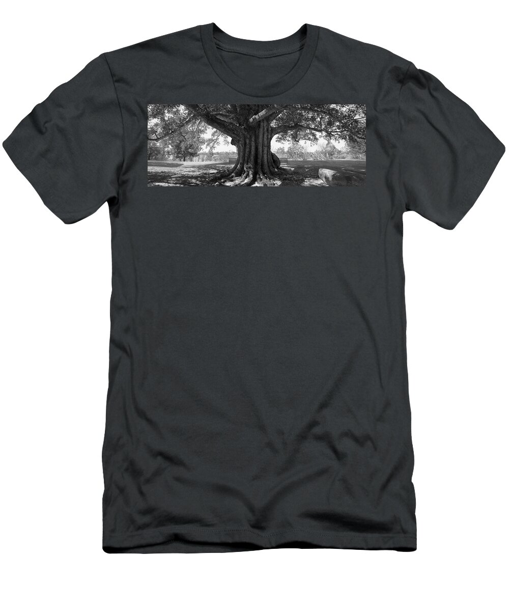 Shade Tree T-Shirt featuring the photograph Shade Tree B W by Mike McGlothlen