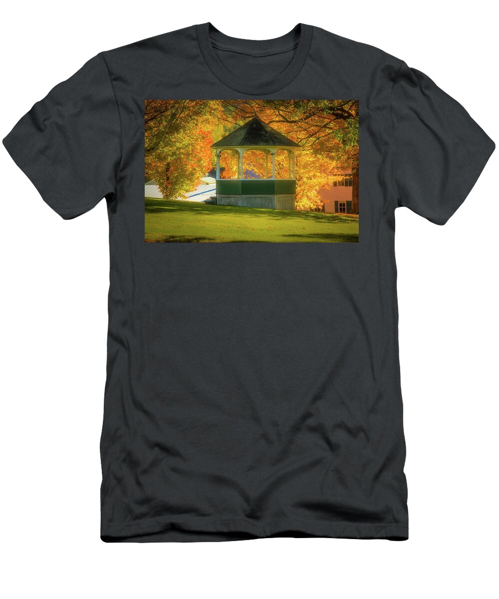 Sharon Vermont T-Shirt featuring the photograph Sharon Vermont bandstand by Jeff Folger