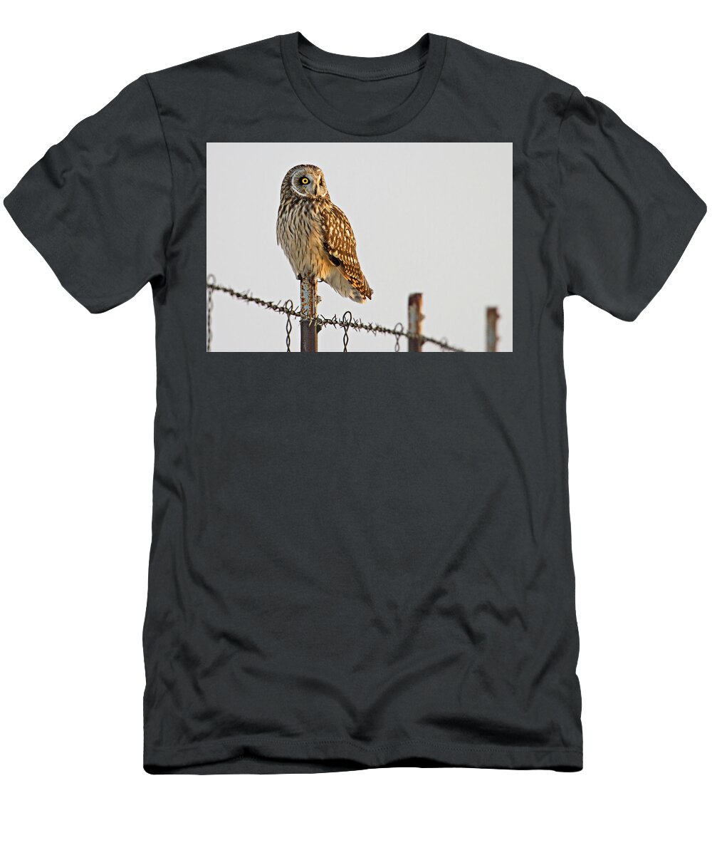 Birds T-Shirt featuring the photograph Short-eared Owl by Wesley Aston