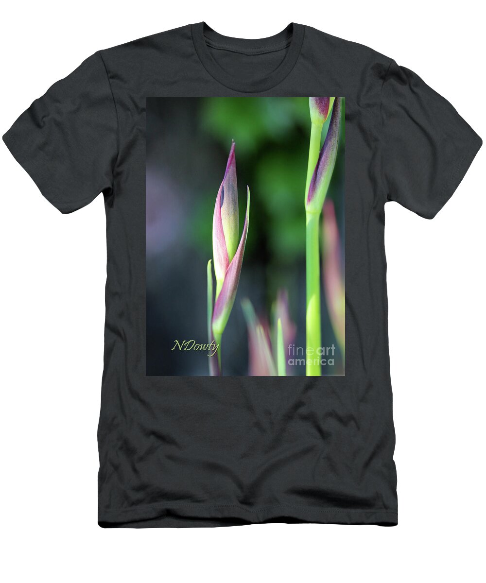 Siberian Iris Bud T-Shirt featuring the photograph Siberian Iris Bud by Natalie Dowty
