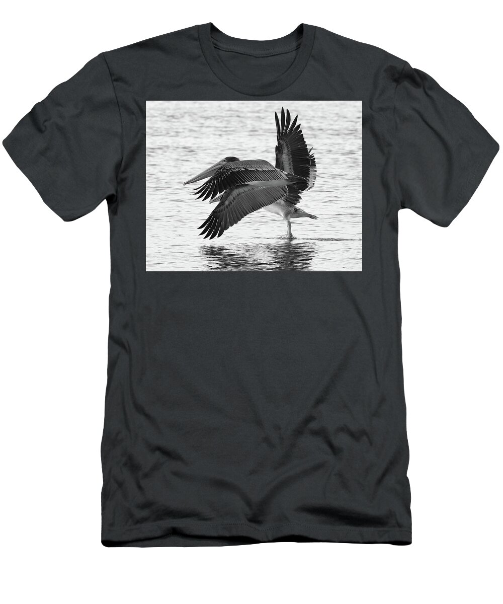 Pelicans T-Shirt featuring the photograph Side by Side Black and White by Mingming Jiang