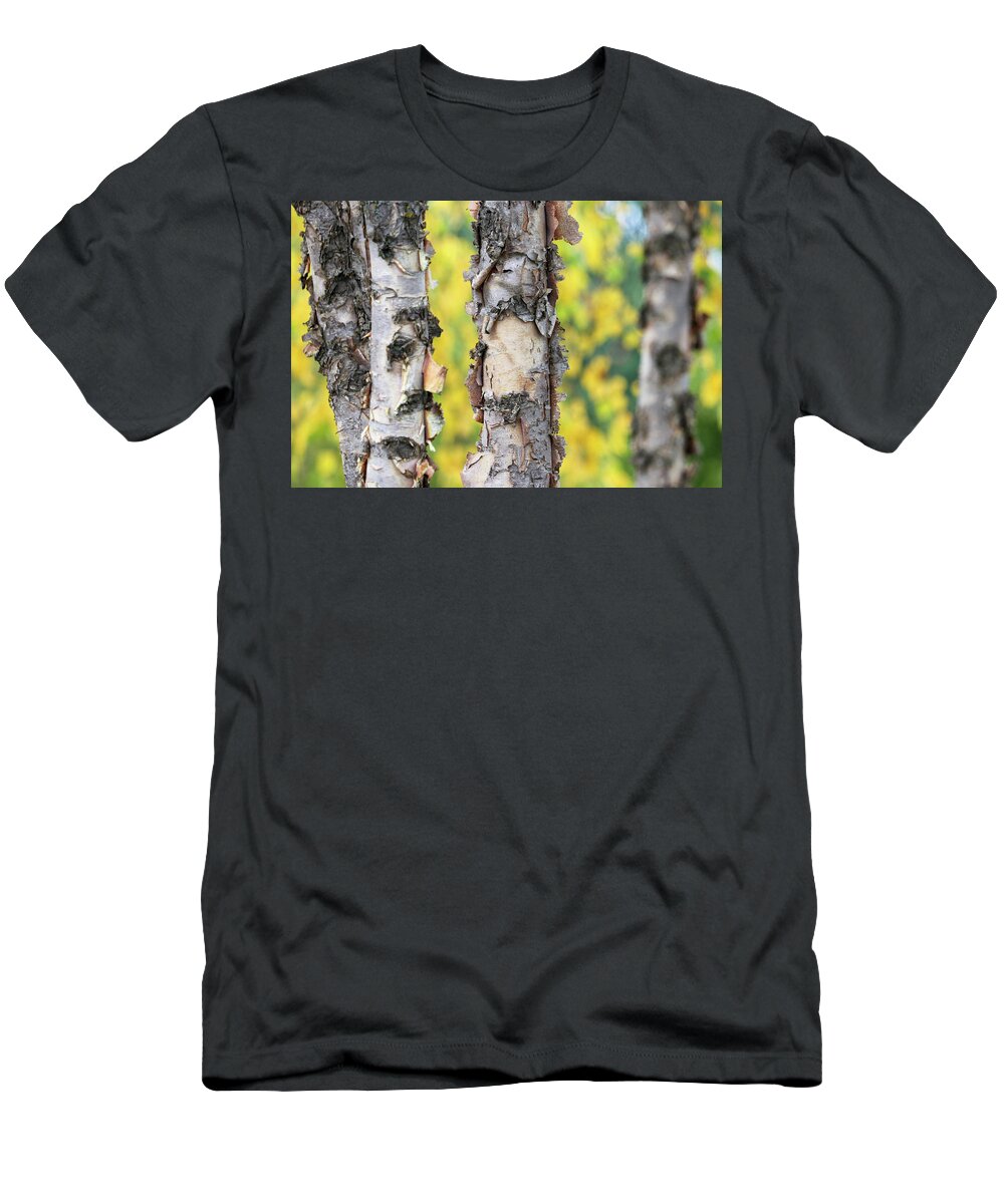 Fall T-Shirt featuring the photograph Signs of Fall by Mary Anne Delgado